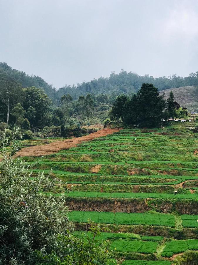Mountain View Cottage Ooty Eksteriør billede