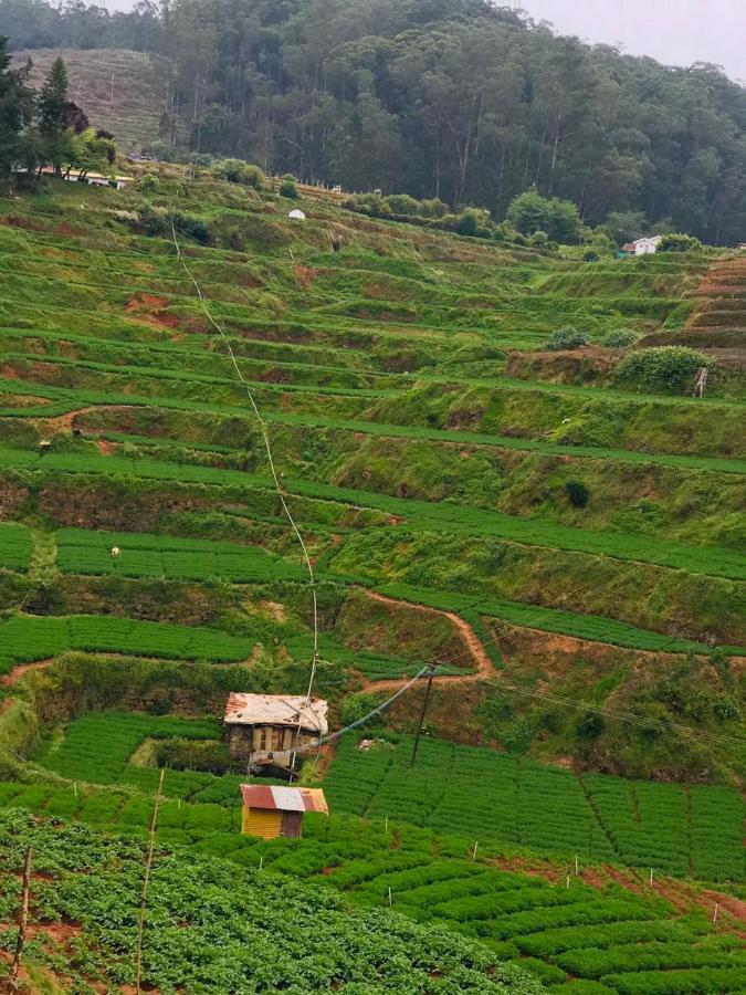 Mountain View Cottage Ooty Eksteriør billede