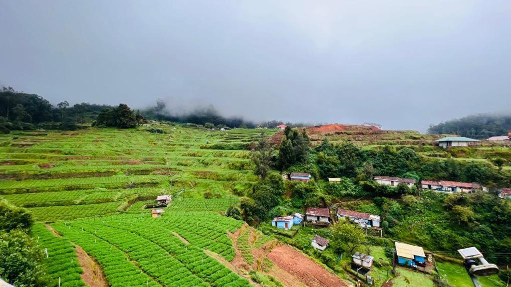 Mountain View Cottage Ooty Eksteriør billede